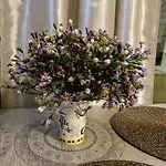 у моря Апартаменты Поморие