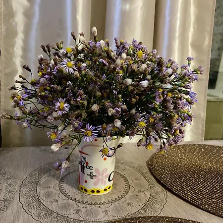 Flat Near The Sea 아파트 포마리